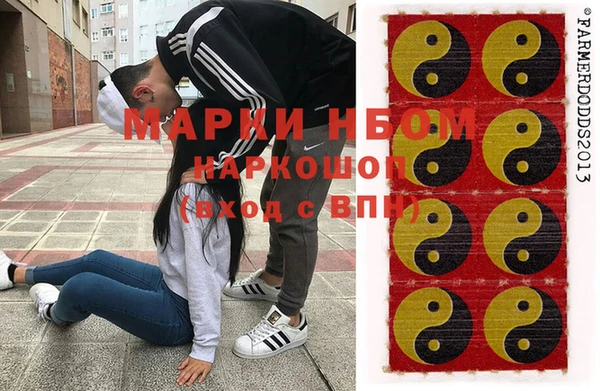 крисы Новокубанск
